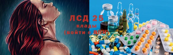 СК Богородицк